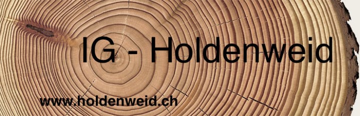 Interessengemeinschaft Holdenweid